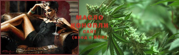 скорость Новозыбков