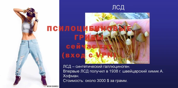 СК Новодвинск