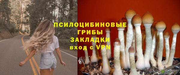 ECSTASY Алзамай