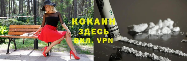 ECSTASY Алзамай