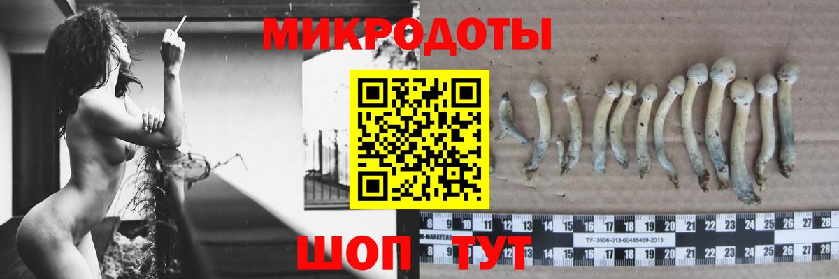 Псилоцибиновые грибы мицелий Миасс